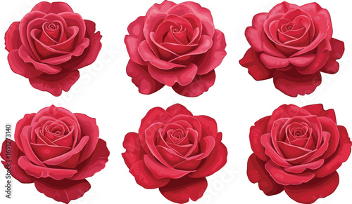 Set of six realistic red rose vector illustrations with layered petals, floral design elements, romantic botanical art for decoration