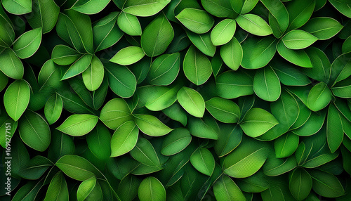 Green Leaves Background