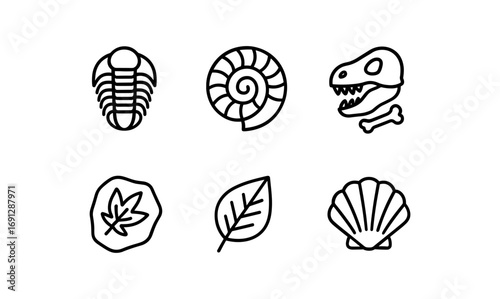 Minimalist fossil icons: nautilus, dinosaur skull, trilobite, leaf, shell designs