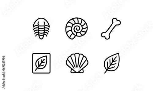 Minimalist fossil symbols: trilobite, ammonite, bone, leaf, shell