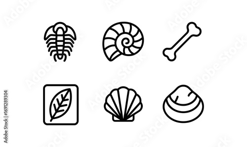 Minimalist fossil icon set with shells and bones in linear style