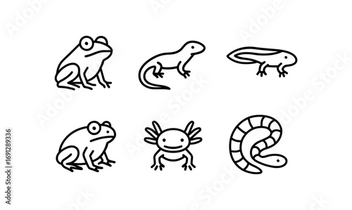 Simple frog and amphibian line art collection for nature enthusiasts