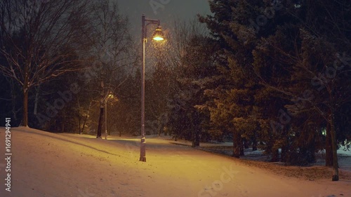 A winter storm dumps snow on a Toronto park walking path at night