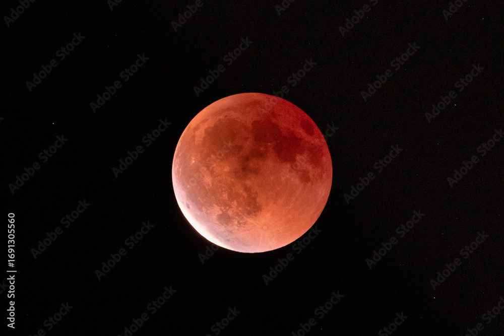 Obraz premium Blood Moon during a Lunar Eclipse