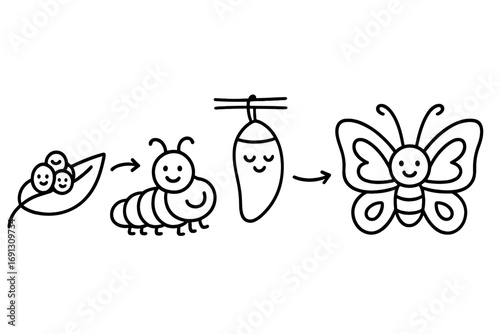 Butterfly life cycle vector illustration in cute linear style. Cartoon insect metamorphosis process from egg, larva, chrysalis to butterfly. Educational biology infographic.