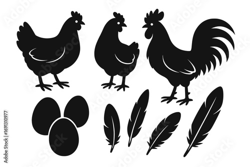 Rooster and chicken silhouette vector set. Farm poultry birds, eggs and feathers icon collection. Black graphic design elements for agriculture, food logo or farm concept.