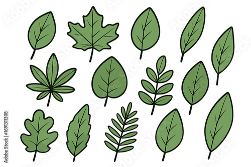 Set of green leaves vector collection. Hand-drawn botanical illustration. Various leaf shapes like maple, oak, and hemp. Nature, foliage, plant icon set for design. Organic eco concept.