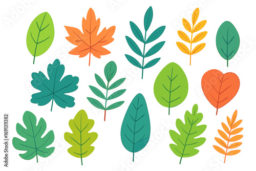 Colorful leaf collection vector illustration. Set of simple flat cartoon leaves. Autumn, summer seasonal foliage. Nature, botanical design elements, icons for graphic projects.