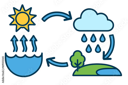 Water cycle infographic vector, illustrated evaporation condensation precipitation collection, educational science concept, cartoon sun cloud rain lake tree, ecosystem diagram, transparency included