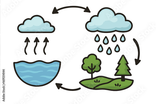 Water cycle vector illustration showing key phases of evaporation, condensation, precipitation, collection, with cartoon icons of clouds, rain, trees, river, arrows, educational science diagram