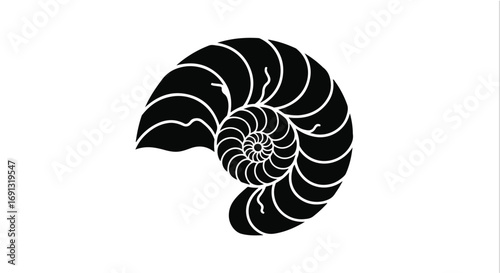 Elegant black nautilus shell spiral on a clean white background, symbolizing growth and nature's geometry.