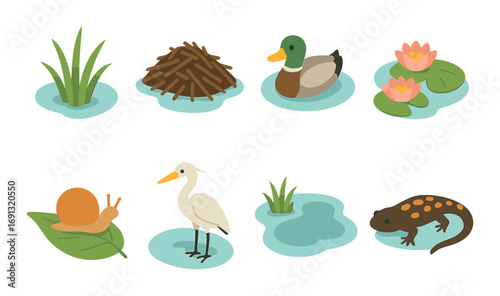 Wetland animals and plants flat icons set. featuring grass, beavers, ducks, lilypads, snails, egrets, ponds, salamanders.