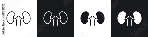 Kidneys icon symbol collection on white background.