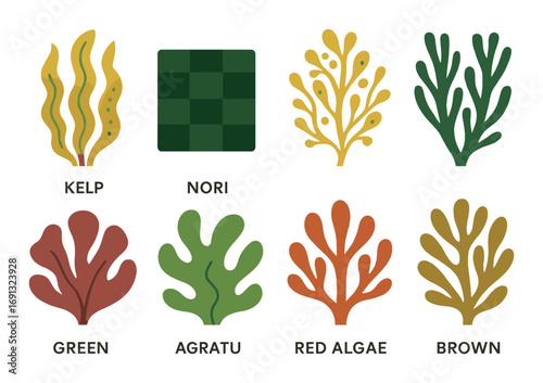 Seaweed silhouette icon set. featuring kelp, nori, green, agratu, red algae, and brown.
