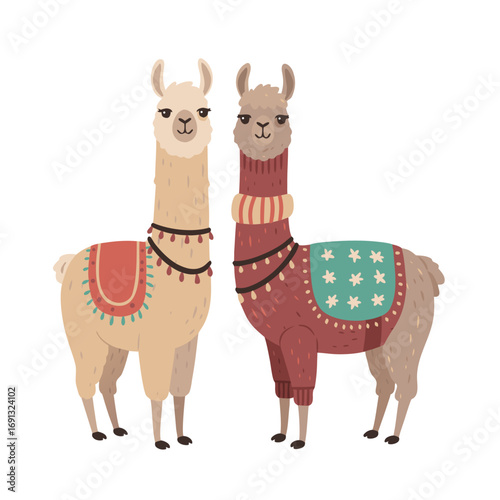 Cute llamas in sweaters standing together with friendly expressions, transparent background, isolated, vector  