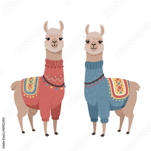 Cute llamas wearing colorful sweaters in playful style, transparent background, isolated, vector  
