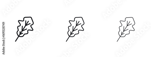 Fotografía Oak Leaf icon vector Logo Designs - Stock vectors.