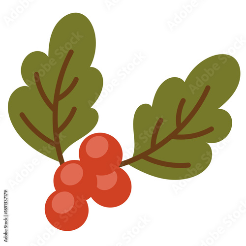 Autumn Berries Illustration