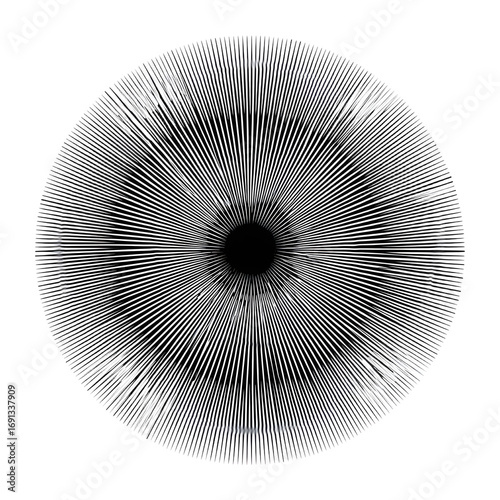 Abstract circular design with radiating concentric lines isolate on white background