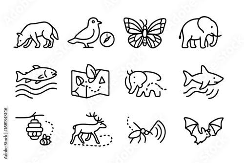Animal Navigation Icons. Outline icon set of Tracking and navigation instincts: wolf sniffing ground, bird with compass, sea