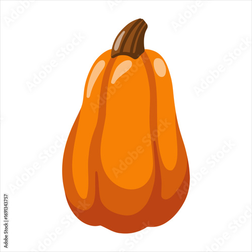 Cartoon vector orange pumpkin with brown stem. Vector isolated illustration on white background. 