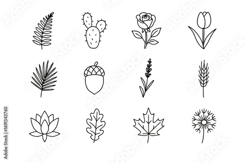 Botanical Icons Grid. Outline icon set of Botanical illustration style: fern leaf, cactus, blooming rose, tulip bud, palm frond,