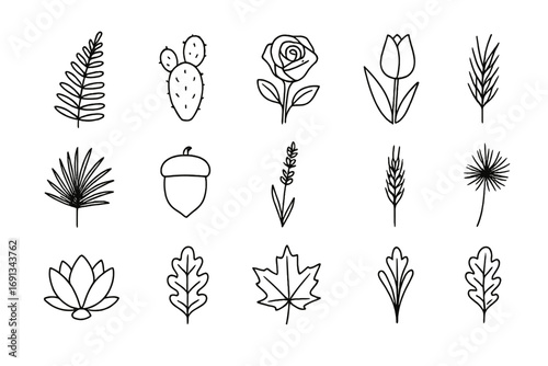 Botanical Icons Grid. Outline icon set of Botanical illustration style: fern leaf, cactus, blooming rose, tulip bud, palm frond,