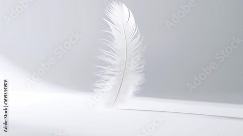 White Feather Gently Floating in Air on White Background