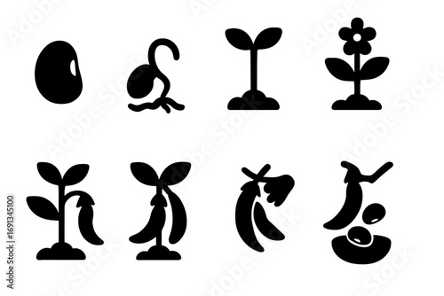Bean Plant Lifecycle Icons. Solid, filled icon set of bean plant lifecycle: seed, germination, seedling, flowering, pod formation,