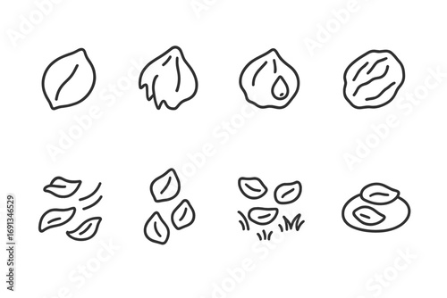 Outline Icon Collections. Outline icon set of rose petals in nature: fresh petal, wilted petal, dew-covered petal, dried petal,