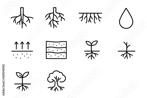 Plant Roots Icon Set. Outline icon set of role of roots in plants: taproot, fibrous roots, root hairs, water