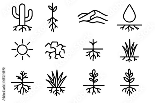 Desert Plant Icons. Outline icon set of desert plant roots: cactus, long taproot, sand dunes, droplet, sun,
