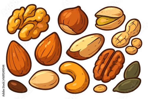 Assorted nuts set vector cartoon illustration. Icons of walnut, hazelnut, pistachio, peanut, almond, Brazil nut, cashew, pecan, pumpkin seed. Healthy food snack concept.
