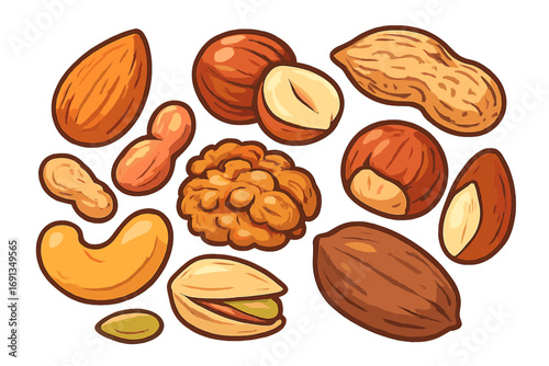 Assorted nuts vector cartoon illustration set. Collection of almond, hazelnut, peanut, walnut, cashew, pistachio. Healthy organic food and protein snack icons.