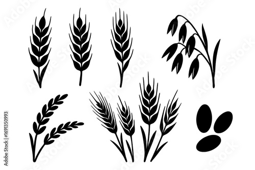 Wheat ear silhouette set. Black grain icons. Vector collection of agriculture symbols. Cereal stalks like barley, rye, oat, rice. Farm harvest illustration. Organic food concept.