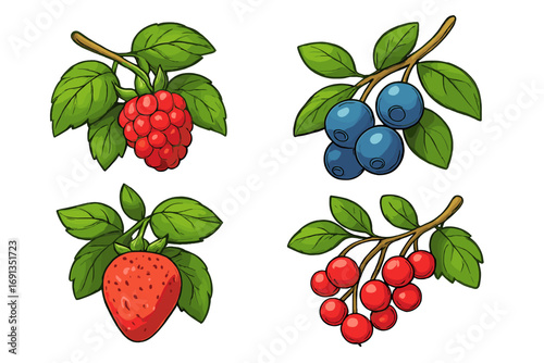 Vector cartoon set of ripe forest and garden berries. Strawberry, raspberry, blueberry, lingonberry on branches. Healthy organic food illustration. Isolated summer fruit icons.