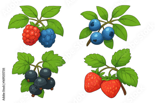Berry set vector cartoon illustration isolated on white. Collection of ripe raspberry, blueberry, strawberry, blackcurrant on branch. Healthy organic summer food icon.