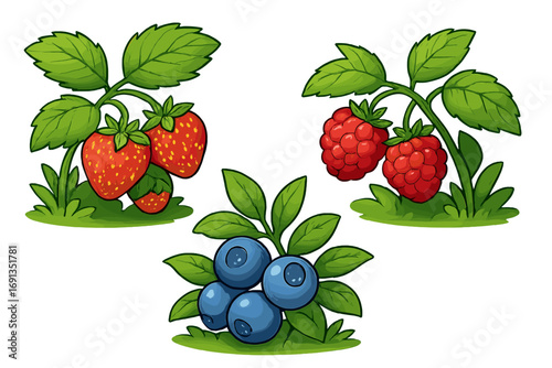 Vector set of cartoon berries. Strawberry, raspberry, blueberry plants with leaves. Ripe, fresh, sweet, organic fruit illustration. Healthy food, summer harvest concept.