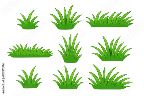 Lush green grass tufts set. Vector cartoon collection of fresh spring lawn clumps. Natural plant design elements for landscaping, gardening or summer nature backgrounds. Isolated.