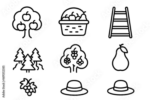 Fruit Picking Icons. Outline icon set of fruit picking experiences: apple tree, basket with fruits, ladder,