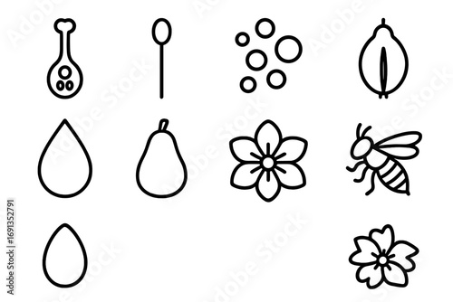 Flower Reproduction Icons. Outline icon set of flower reproduction: pistil, stamen, pollen, ovary, seed, fruit