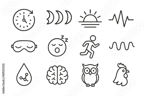 Biological Rhythms Icons. Outline icon set of biological rhythms: circadian clock, moon phases, sunrise,