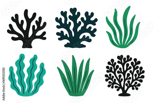 Set of stylized coral and seaweed vector illustrations. Collection of underwater sea plants and marine life forms. Aquatic ocean clip art elements for design. Flat cartoon style.