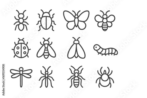 Minimalist outline vector icons of diverse insects including ant, beetle, butterfly, bee, ladybug, moth, caterpillar, dragonfly, spider, and tick for design projects with transparent background