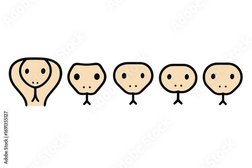 Minimalistic Snake Faces Vector Set with Cobra, Viper, Python, Boa, Anaconda Cartoon Illustration, Transparent Background, Wildlife Reptile Icons for Design