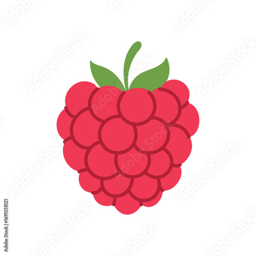 Fresh red raspberry fruit illustration with green leaves isolated on white background in flat cartoon vector style