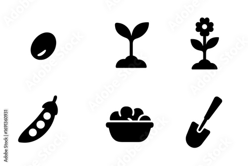 Plant Growth Icons. Solid, filled icon set of plant growth: seed, sprout, growing plant, flowering lentil plant, pod, harvesting