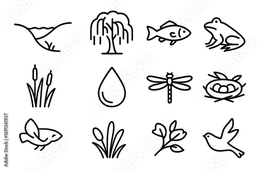 Riparian Zone Icons. Outline icon set of riparian zones: riverbank, willow tree, fish, frog, reeds, water
