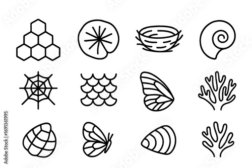 Biomimicry Icon Set. Outline icon set of biomimicry design: honeycomb pattern, lotus leaf, bird nest, seashell