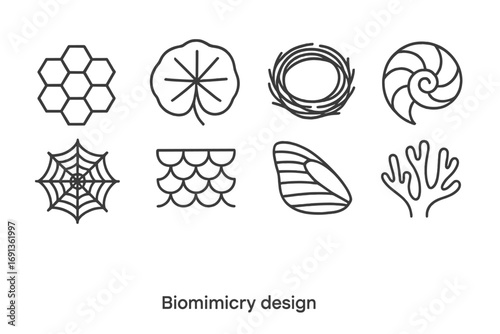 Biomimicry Icon Set. Outline icon set of biomimicry design: honeycomb pattern, lotus leaf, bird nest, seashell